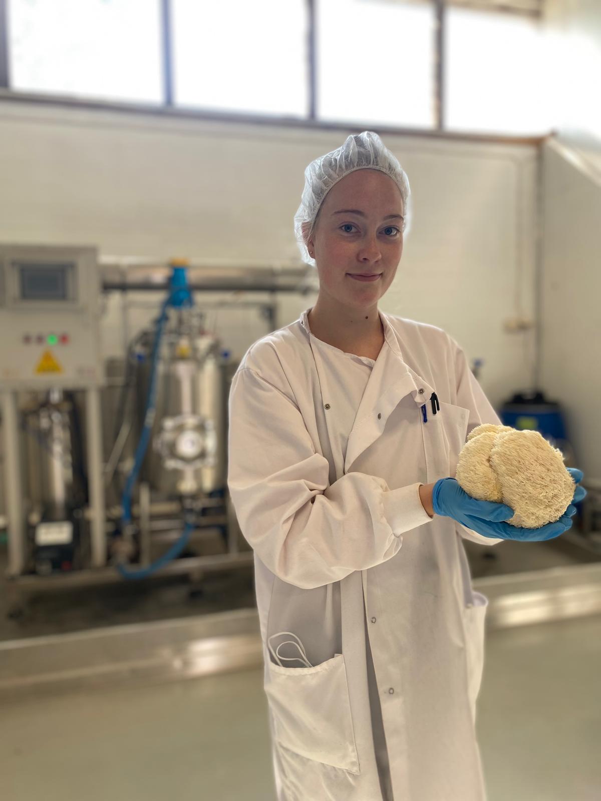 Nordisches Licht, nordische Kraft – Warum unsere Pilze unter besonderen Bedingungen wachsen