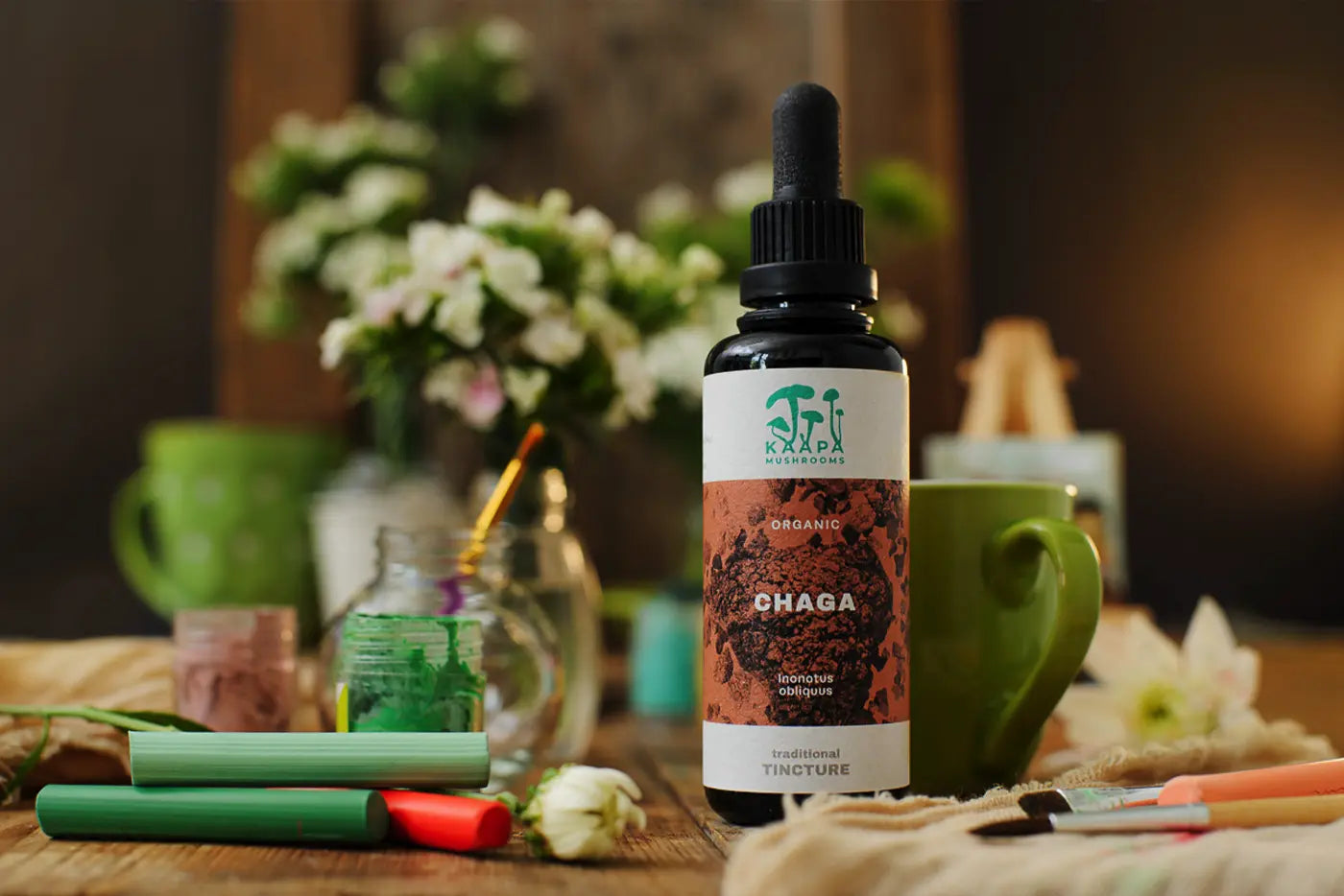 Frühling in Finnland – Wie das Erwachen der Natur unsere Pilze prägt