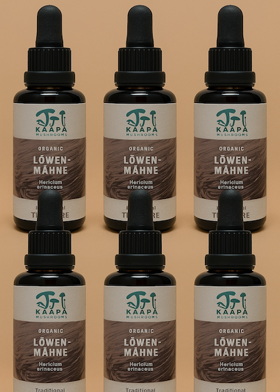KÄÄPÄ Spezial: Halbjahresvorrat Löwenmähne-Tinktur