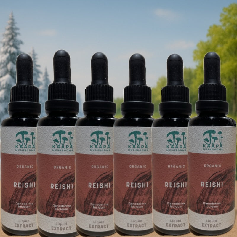 KÄÄPÄ Spezial: Halbjahresvorrat Reishi-Tinktur