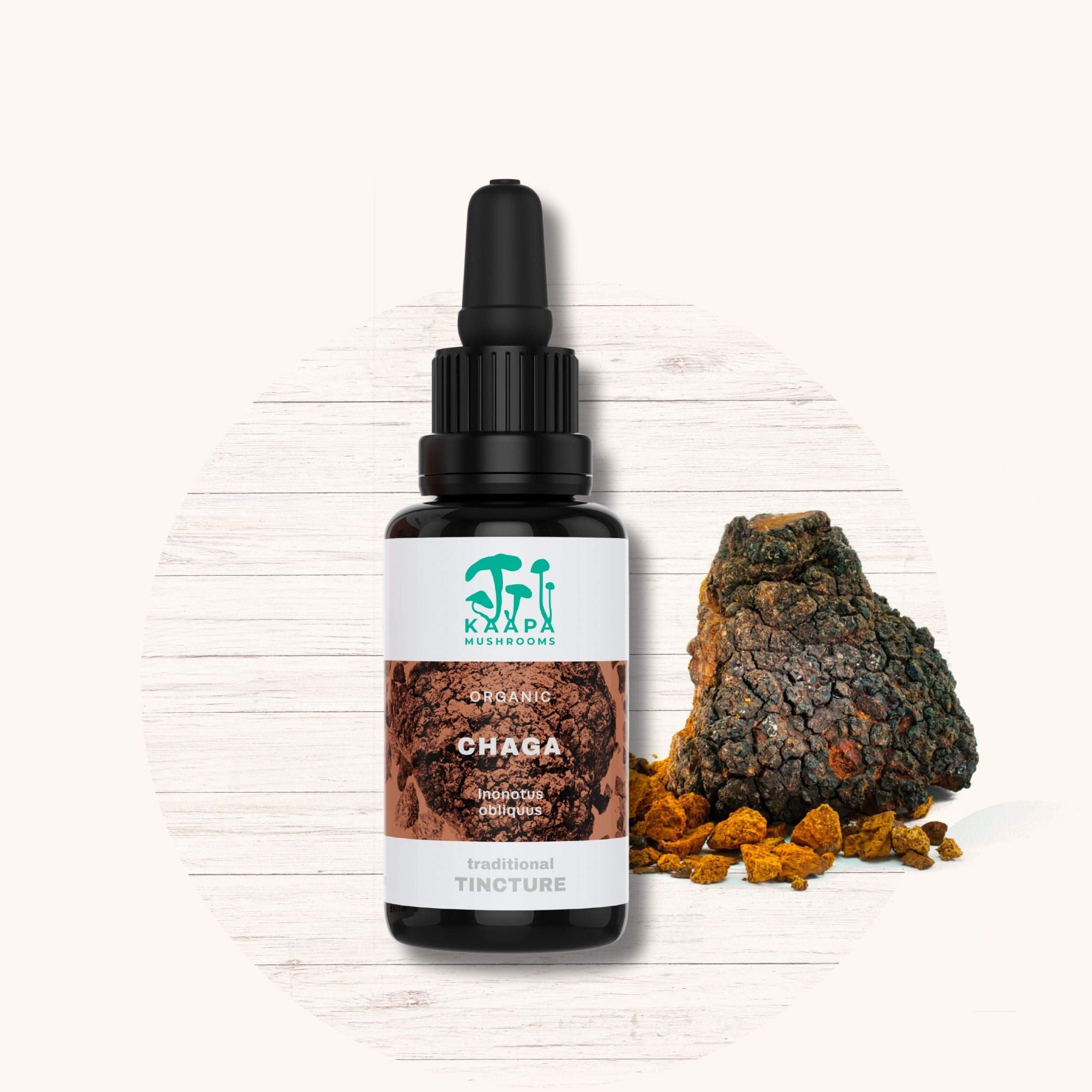 Chaga Extrakt Tinktur
