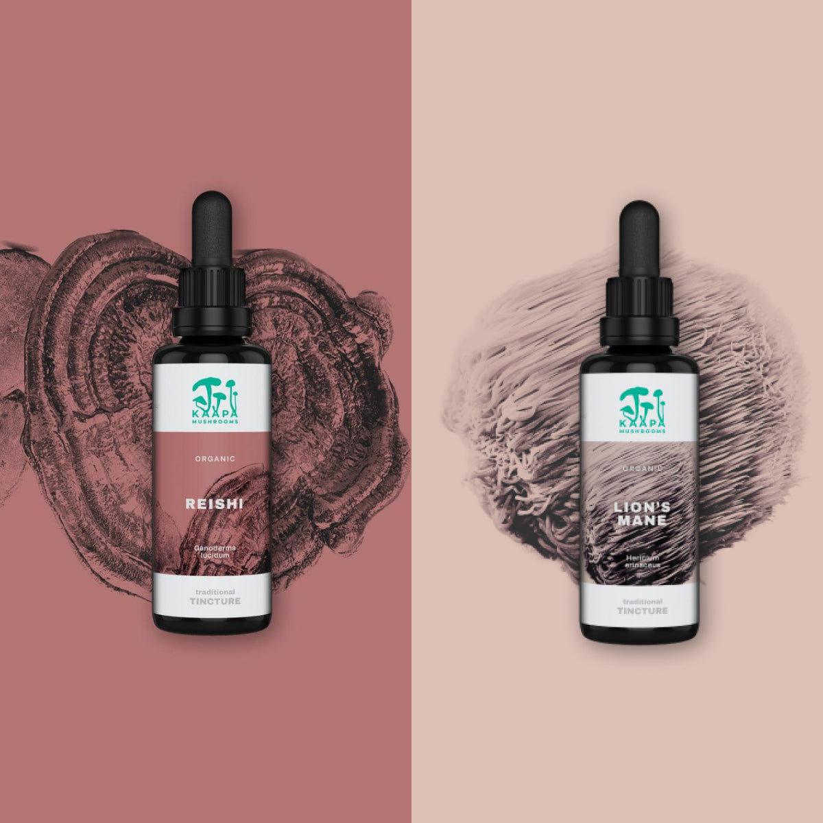 Mind & Soul Duo – Balance für Körper & Geist