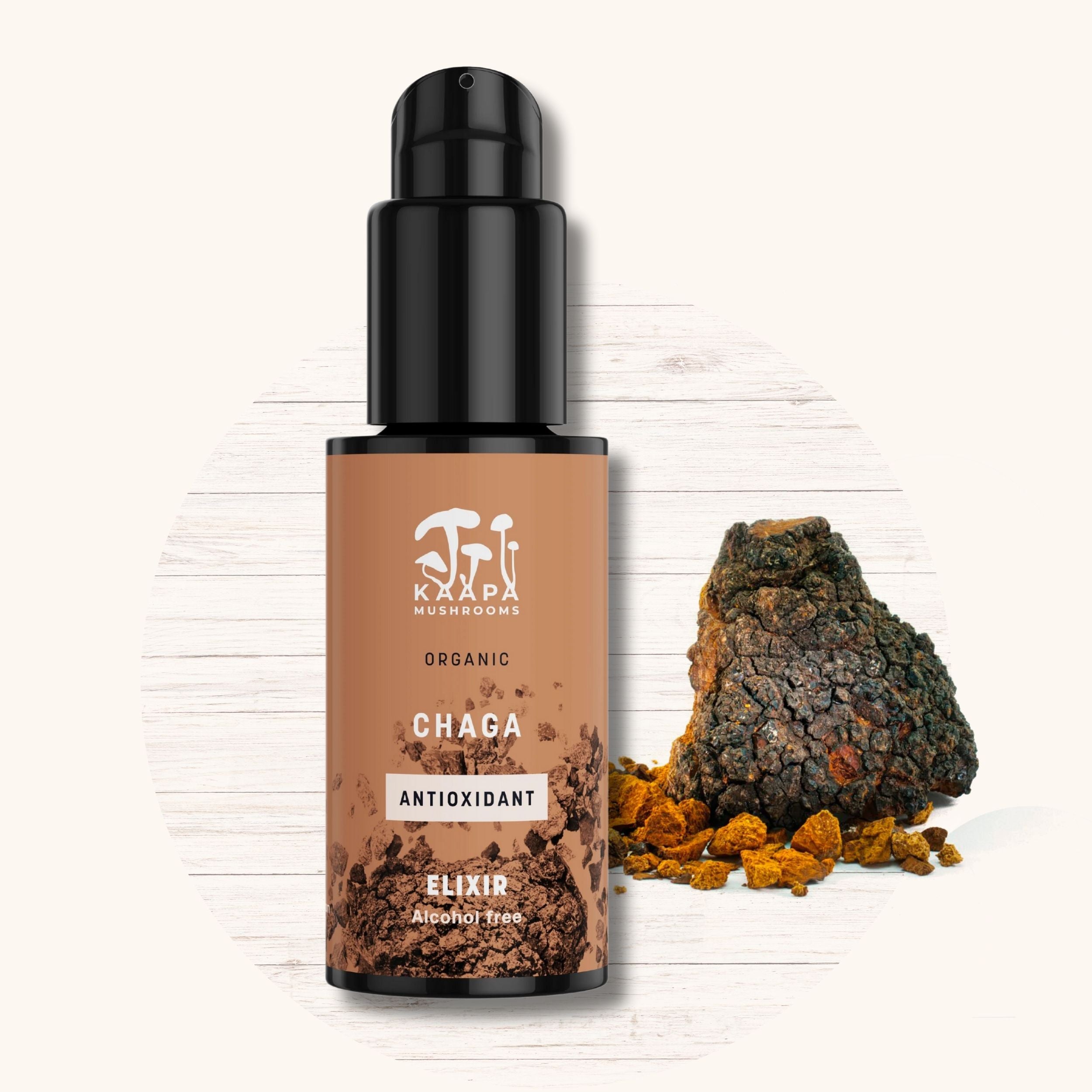 Chaga Extrakt Elixier