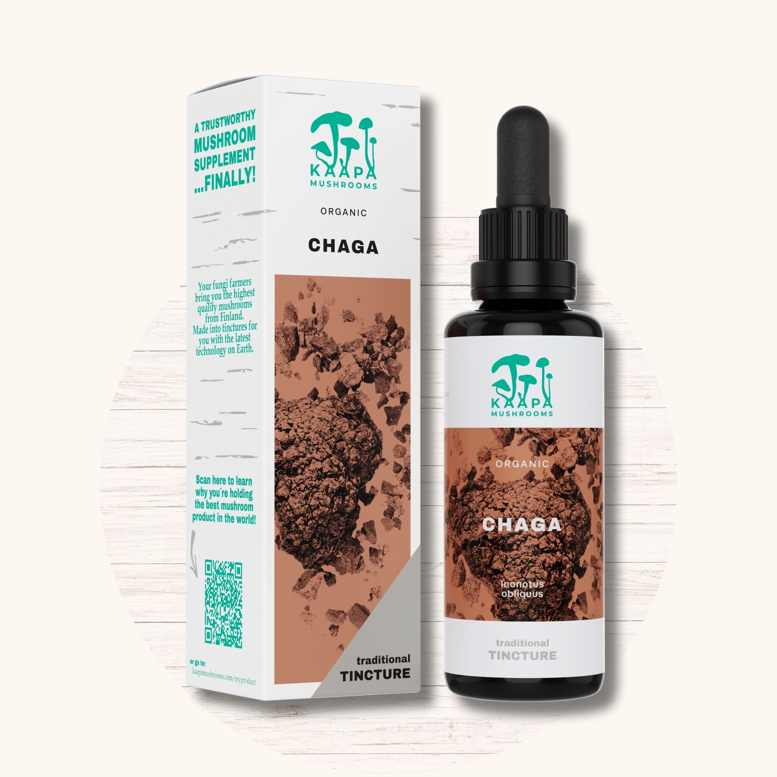 Chaga Extrakt Tinktur