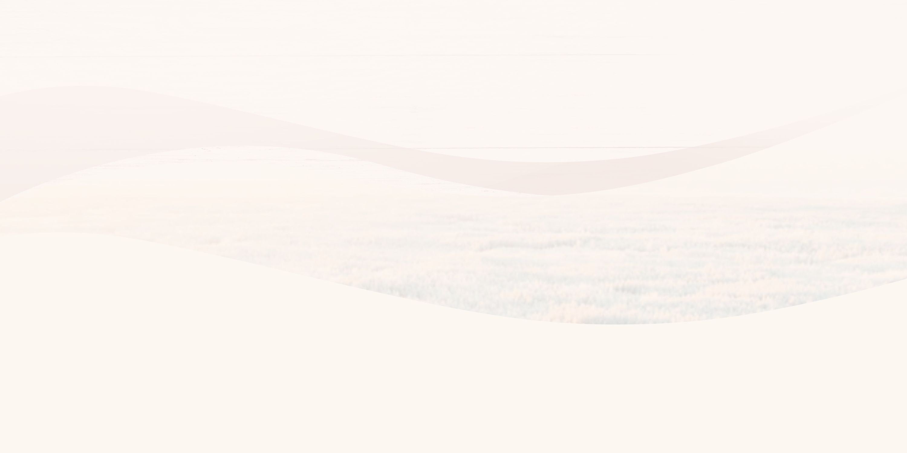 Hintergrund mit geschwungenen, transparenten Linien in Beige- und Brauntönen, darunter eine leicht sichtbare Landschaftssilhouette.