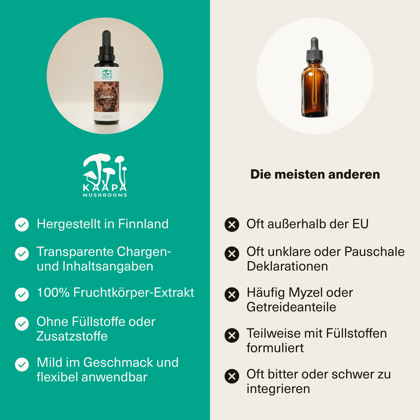 Chaga Extrakt Tinktur 50ml