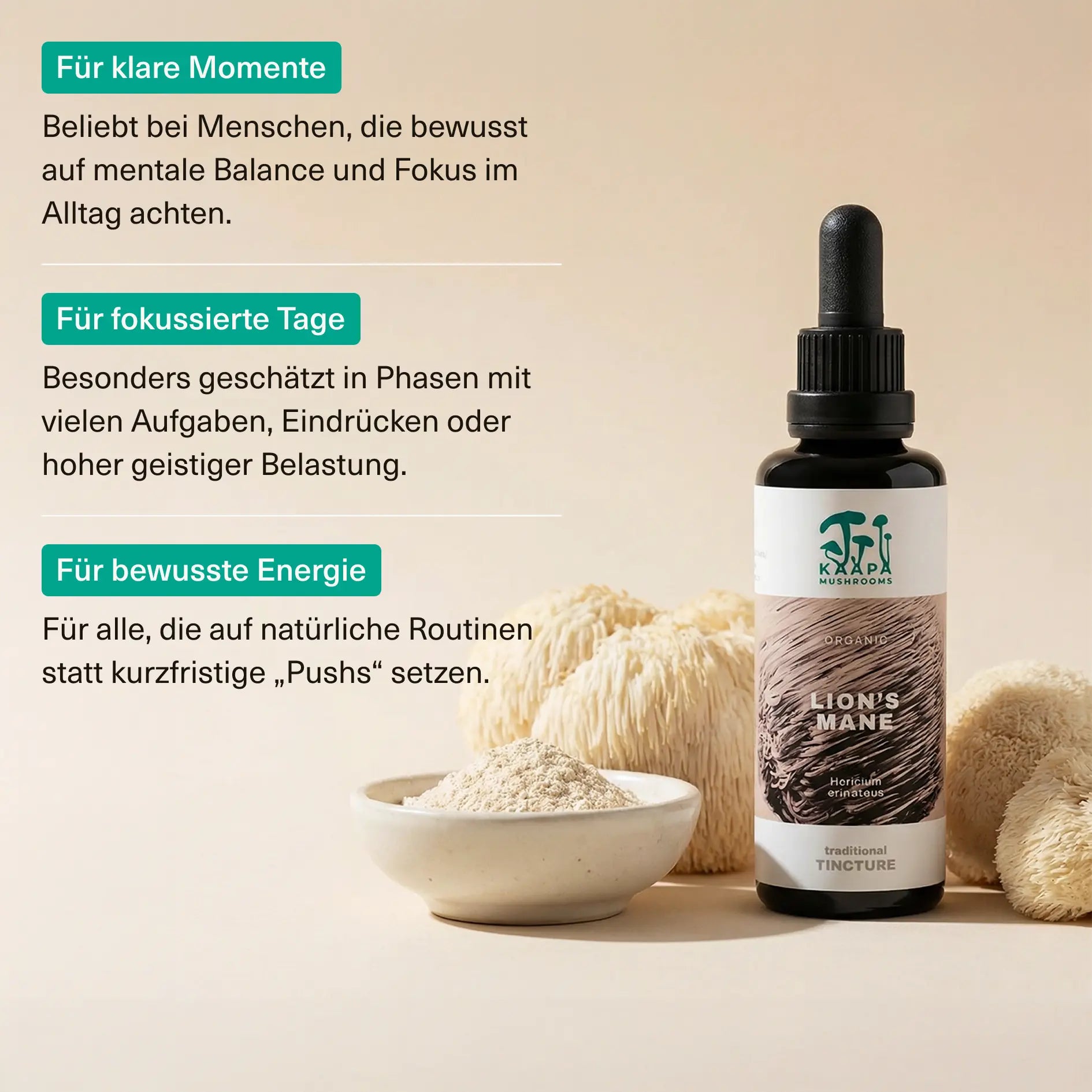 Löwenmähne Extrakt Tinktur 50ml