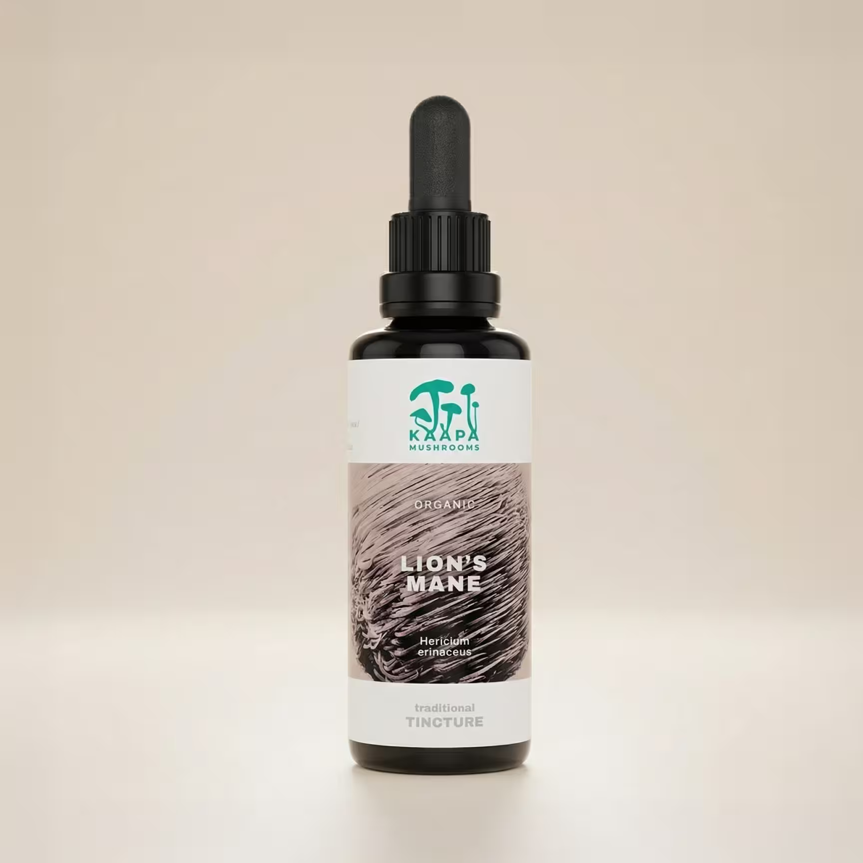 Löwenmähne Extrakt Tinktur 50ml