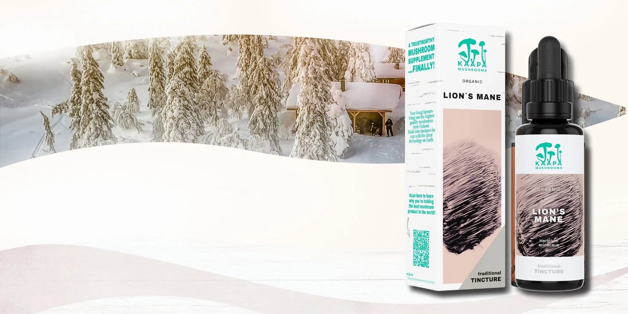 Winterlandschaft mit verschneiten Bäumen und Hütte, daneben KÄÄPÄ Mushrooms Lion’s Mane-Tinkturflasche und Verpackung aus Bio-Pilzextrakt.