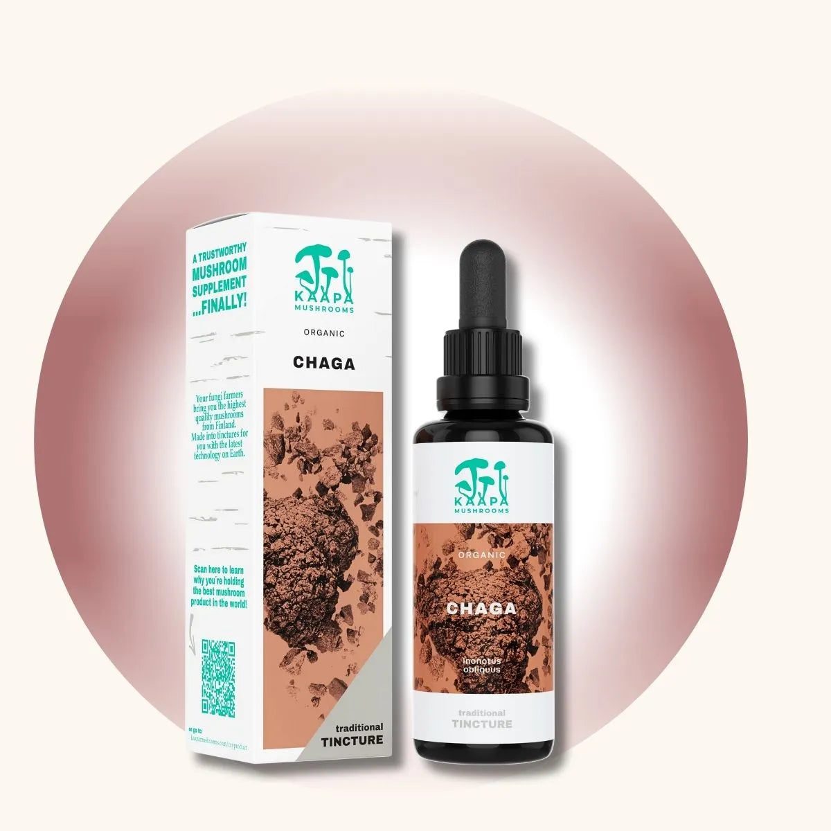 KÄÄPÄ Mushrooms Chaga-Tinkturflasche mit Verpackung auf beigem Hintergrund und dezentem Kreis in Braun-Tönen.