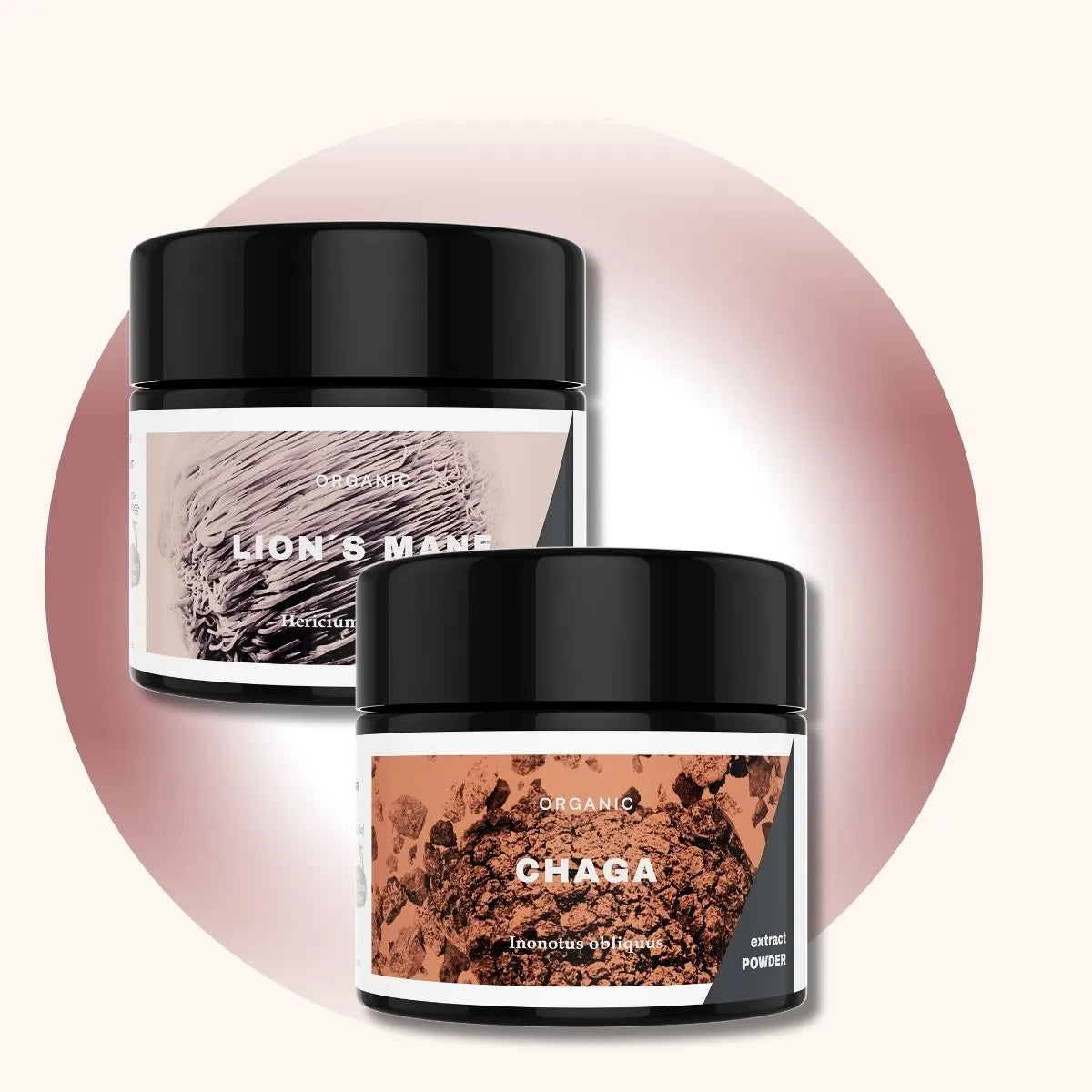 Zwei Gläser KÄÄPÄ Mushrooms Vitalpilz-Pulver: Lion’s Mane und Chaga, mit schwarzem Deckel vor einem beigen Hintergrund mit braunem Kreis