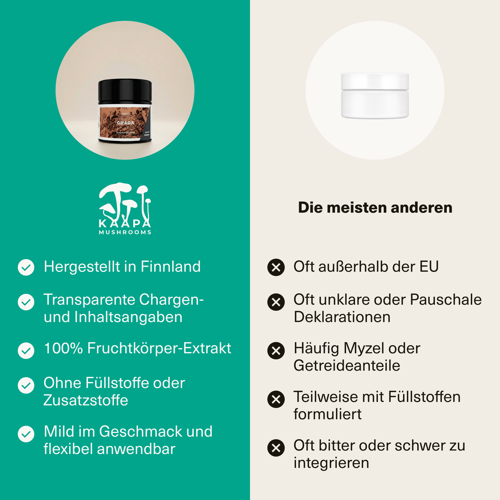 Chaga Extrakt Pulver 30g