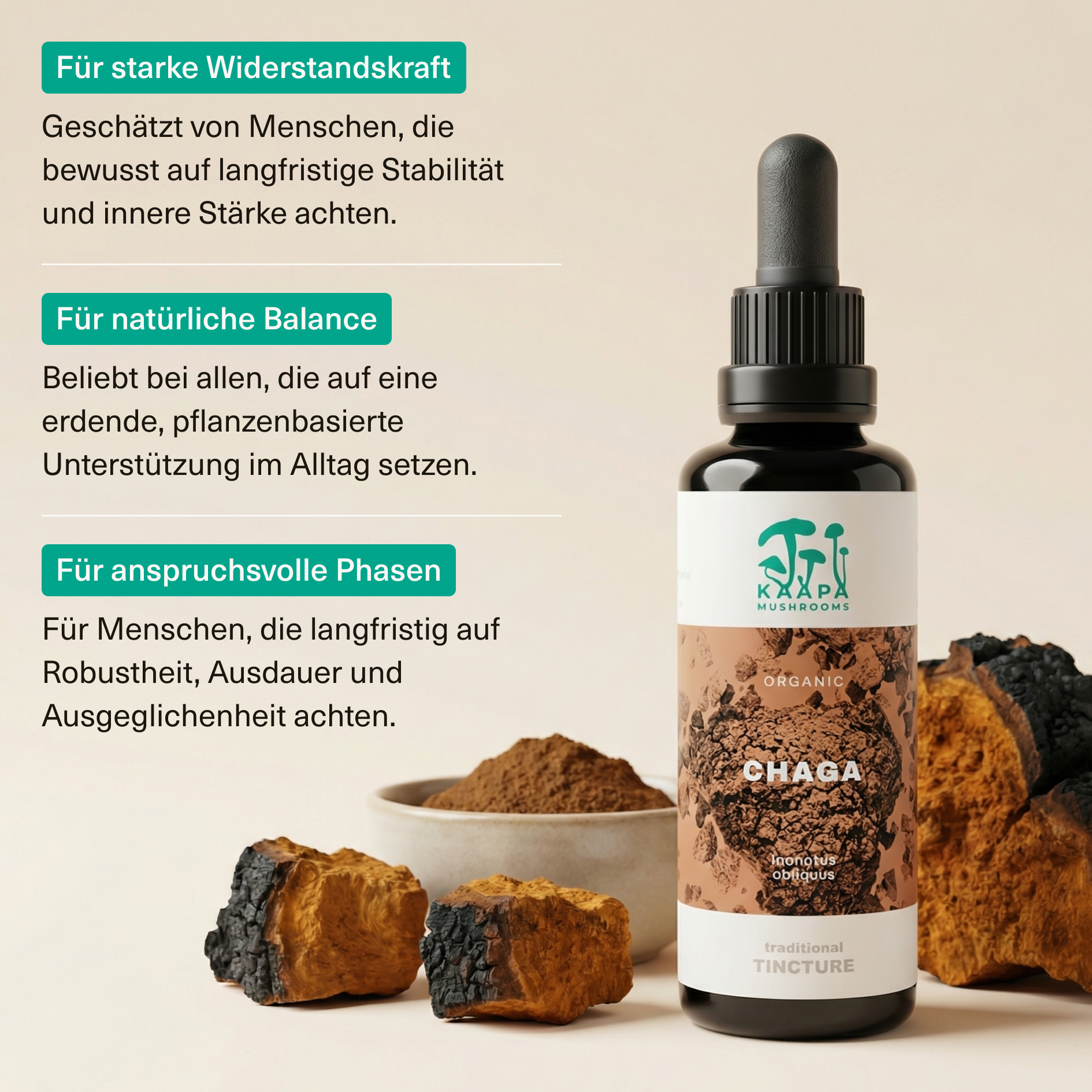 Chaga Extrakt Tinktur 50ml
