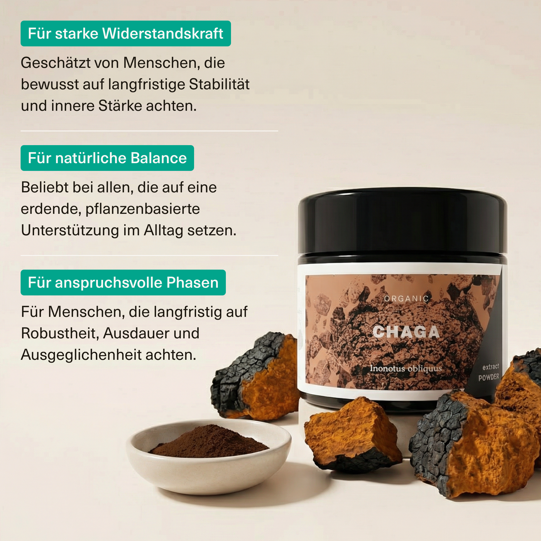 Chaga Extrakt Pulver 30g