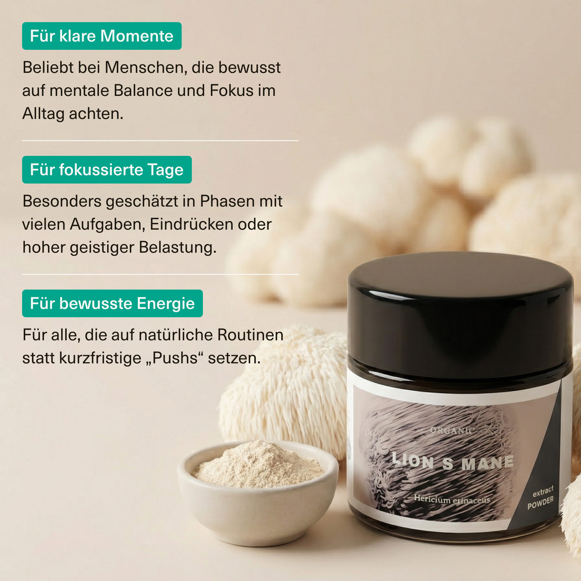 Löwenmähne Extrakt Pulver 30g