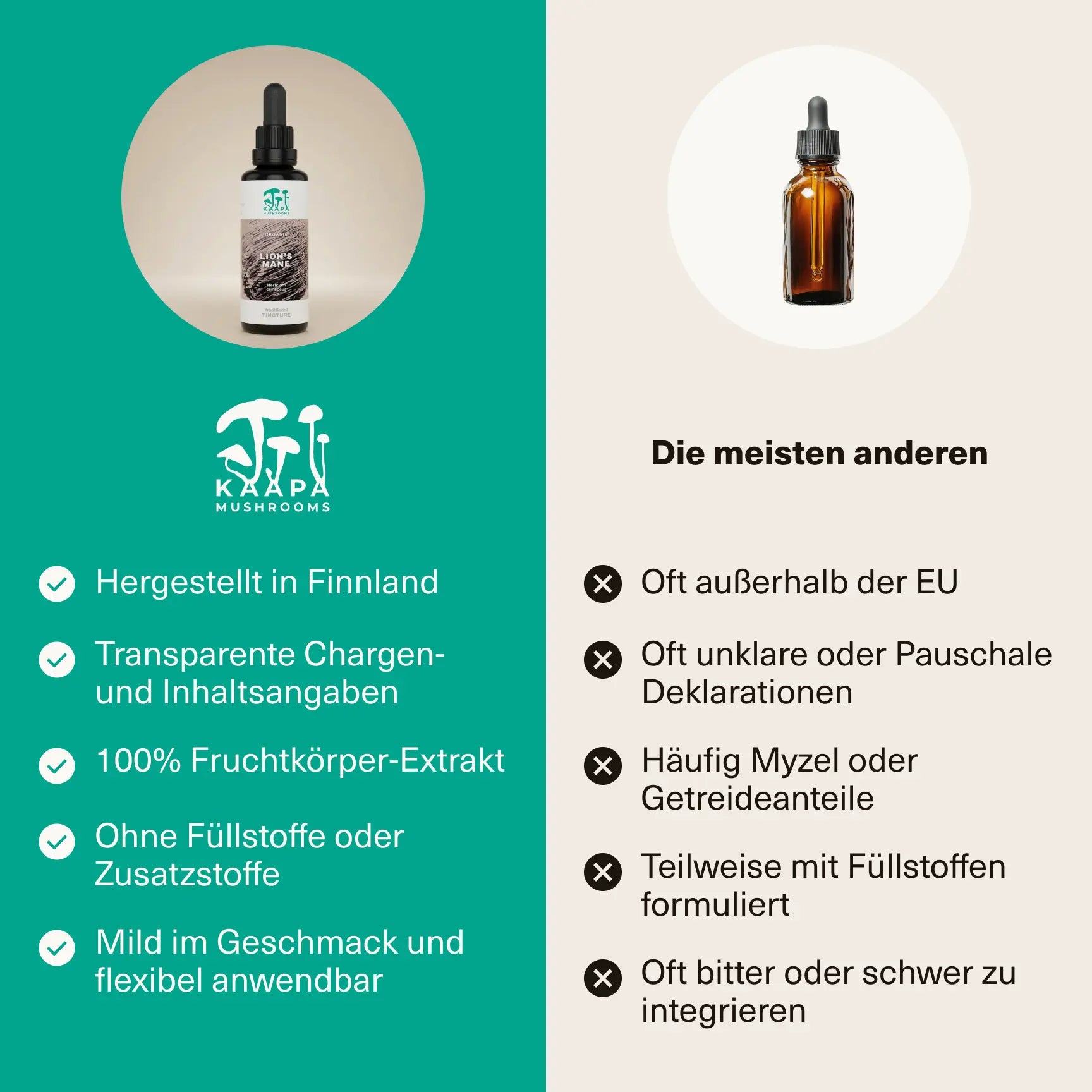 Löwenmähne Extrakt Tinktur 50ml